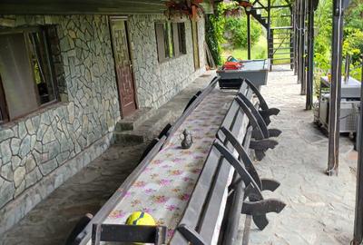 Casă cu 5 camere cu Teren 10208 Mp în Eșelnița - 9
