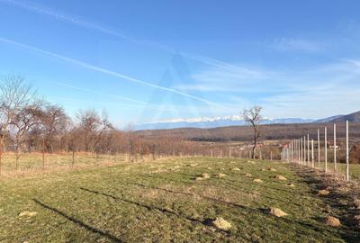 Teren Construcții intravilan de 809 mp, în Exterior Sud - 7