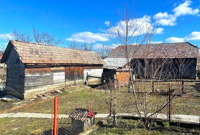 4.300 mp teren, pomicultura +casa traditionala, anexe, Craiesti, Mures: Tur 3D! - 7