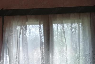 Casă cu 4 camere cu Teren 4200 Mp în Izvoru (Gogoșari) - 1