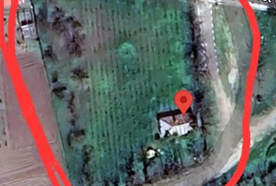 Casă cu 2 camere în Oancea - 5