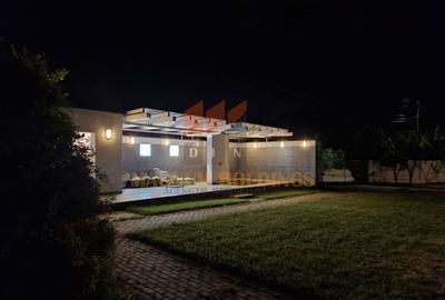 Casa Hintesti, 3 km de oras, 300 mp construiti, piscina, terasa - 20