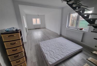 Casa independenta pe 2 nivele, 4 camere, 2 bai, debara cu 3 arii teren  in Sancr - 2