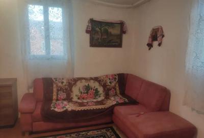 Vand casa Ohaba Romana - 2