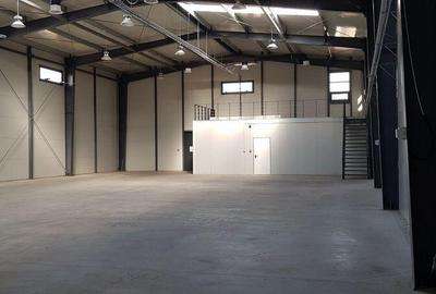 Spațiu comercial, de 736 mp, în Mogoșoaia - 16