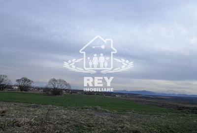 Teren de 7500 mp, în Central - 5