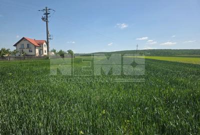 Teren agricol extravilan de 2600 mp, în Mitocu Dragomirnei - 2