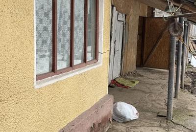 Casă cu Teren 891 Mp în Grădiștea - 3