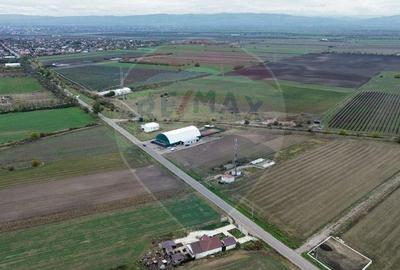 Teren 1,800mp Mircestii Vechi / DJ 204E - 1