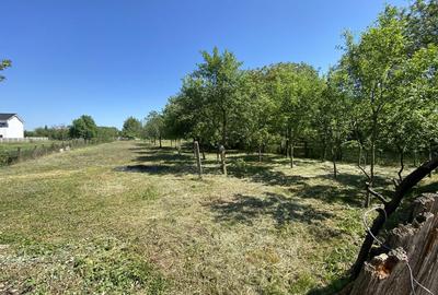 Spațiu comercial, în Sânandrei - 6