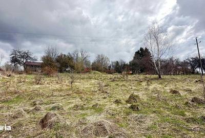 Teren de 2877 mp, în Brebu - 5