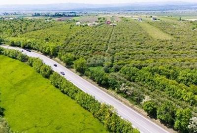 Spațiu comercial, în Spătărești - 2