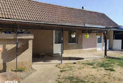 Casă cu 3 camere cu Teren 2826 Mp în Saca - 11