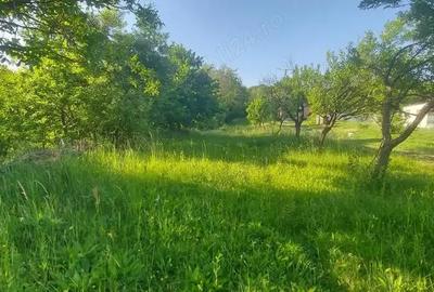 Teren de 1200 mp, în Dârmănești - 1