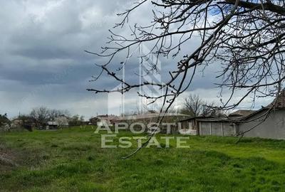 Teren intravilan 1000 mp in Dinias 20km de Timisoara - 1