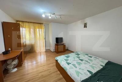 Garsonieră decomandată în Brazda lui Novac - 2