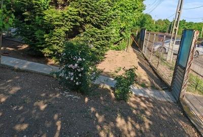 Casă cu 3 camere cu Teren 3000 Mp în Central - 14