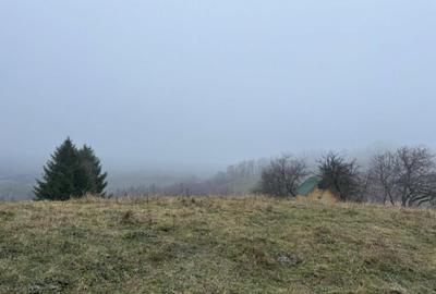 Teren Poiana Marului -Zarnesti -Brasov - 5