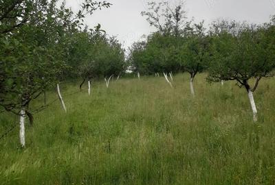 Casa de vanzare- pre? negociabil - 5