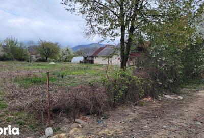 Teren de 4600 mp, în Recea - 3