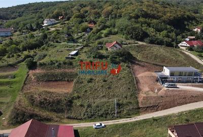 Oportunitate de Investiție: Teren Intravilan Construibil în Zona Mices - 5