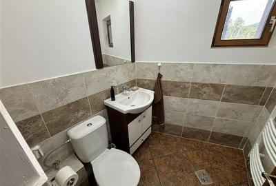 VILA DEOSEBITA IN SLATINA - LUNCANI - OAZA DE LINISTE LA MARGINEA PADURII - 20