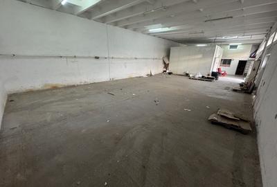 Hale pentru depozitare zona Halta Traian - Interioara 3 - 1