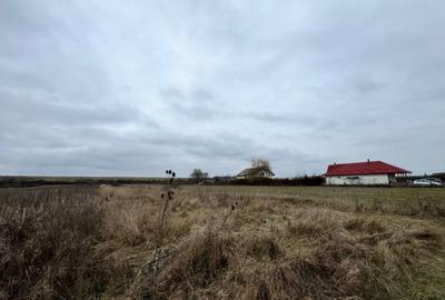 Teren 28 ari, drum principal - 5