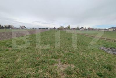 Casa individuala 4 camere, 200 mp, zona Horodnic - 14