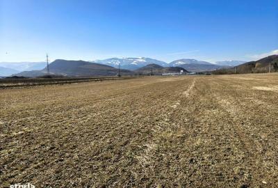 Teren de 2800 mp, în Turnu Roșu - 10