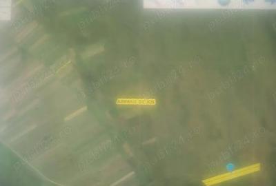 Teren de 18800 mp, în Arpașu de Sus - 2