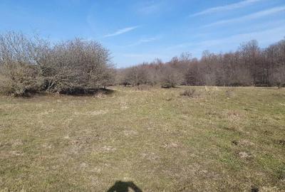 Teren de 4100 mp, în Vlădeni - 4