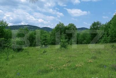 Teren în Scărișoara - 1