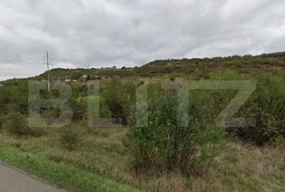 Teren extravilan de vanzare zona Unirea (ie?ire spre - 3