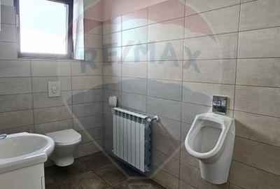 Spațiu industrial, de 9,697.3798828125 mp, în Ariceștii Rahtivani - 20