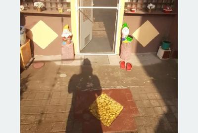 Casa de vanzare Ghindeni Dolj - 2