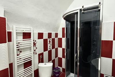 Apartament cu 3 camere, mobilat în Boul Roșu