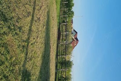 Teren de 801 mp, în Frumușeni - 2