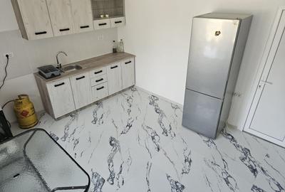 Casă individuală cu 3 camere cu Canalizare în Beregsău Mic - 14