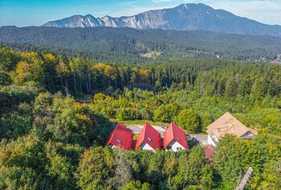 Casă cu 6 camere cu Teren 350 Mp în Vlădeț - Trei Brazi - 21