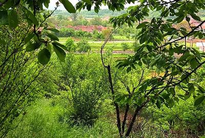 Casă cu 2 camere cu Teren 2200 Mp în Vadu Crișului - 1