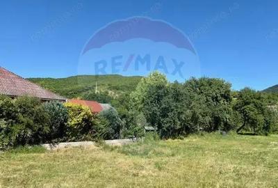 Teren de 3154 mp, în Bârsana