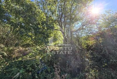 Teren de 3260 mp, în Cuied - 3