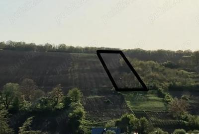 Teren de 10500 mp, în Rediu