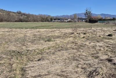 Teren de 2260 mp, în Dumbrăvița - 3