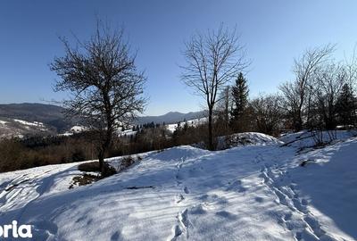 Teren de 21053 mp, în Vama - 3