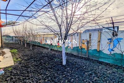 Casa Sanpetru cu Garaj - 12