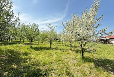 Teren Construcții de 1190 mp, în Dragșina - 3