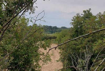 Casă cu 4 camere în Poienarii-Rali - 4