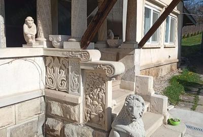 Casă cu Teren 3103 Mp în Central - 2